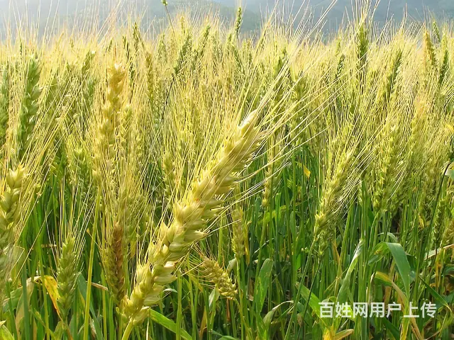 健康管理师考证常见问题汇总，柯桥考证培训哪家好 - 图片