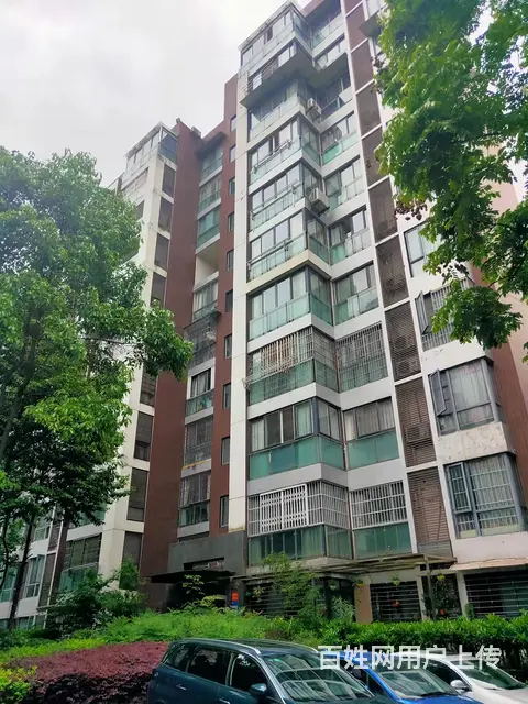 (精选好铺)游仙区香榭丽小区快递店转让 - 图片 7