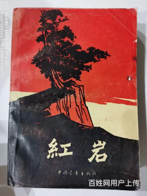 红日等 - 图片 2