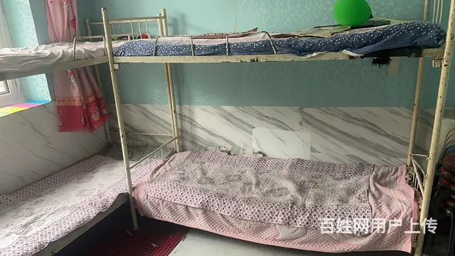 上下铺铁床 - 图片