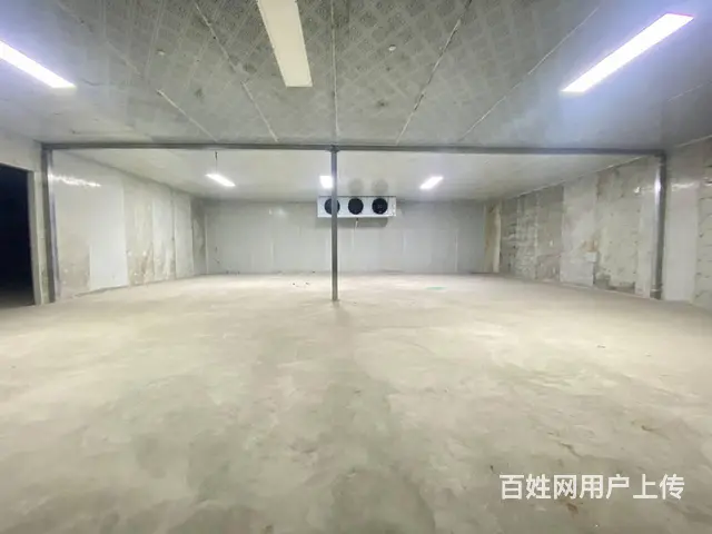 黄桥大道岳麓大道高铁西板块黄金园160一700平冷冻库转让 - 图片 3