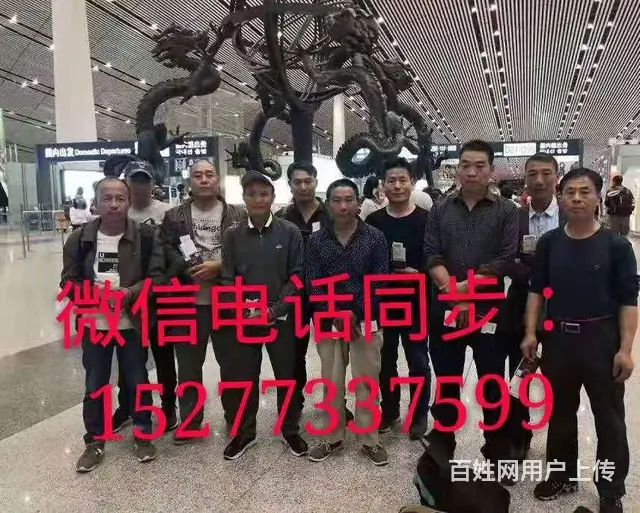 把握先择机遇/国外招工待遇丰厚 - 图片 5
