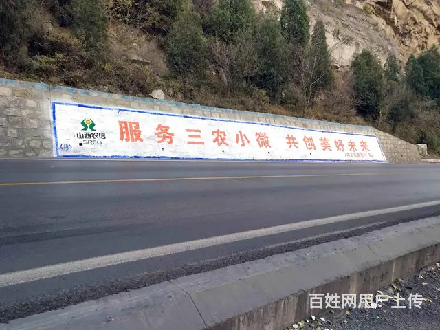 长治农化乡村墙体广告,墙体喷彩绘,大胆的配色 - 图片 3