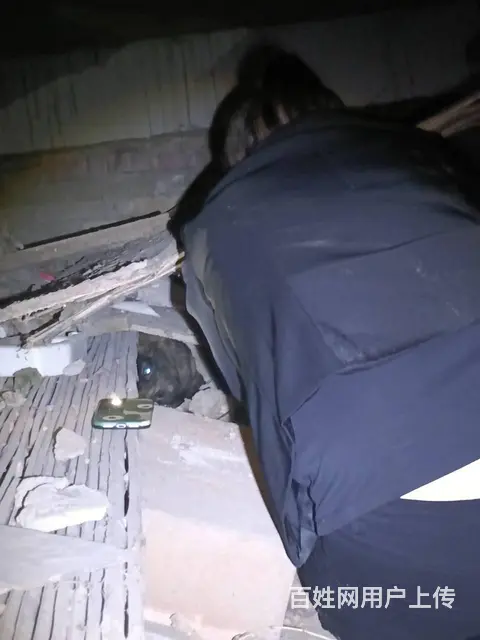 猫咪在外面跑丢了怎么找回来专业找猫团队大概多少钱 - 图片 4