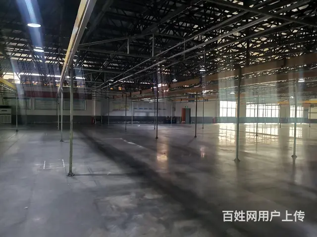（老板房源）捡漏啦！大型产业园独门独院厂房优价出租（可分租） - 图片 4