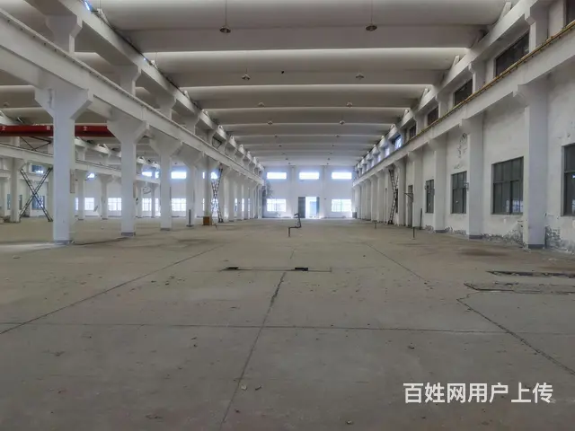 （房东直租）独门独院，单层厂房 - 图片 1