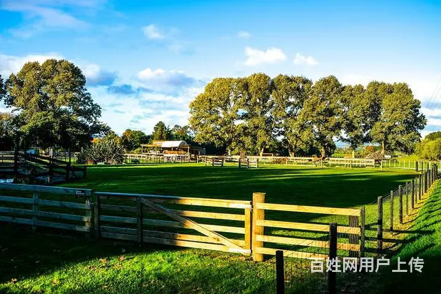 出国工作高薪工作出国打工出国赚钱月薪40万不是梦 - 图片 9