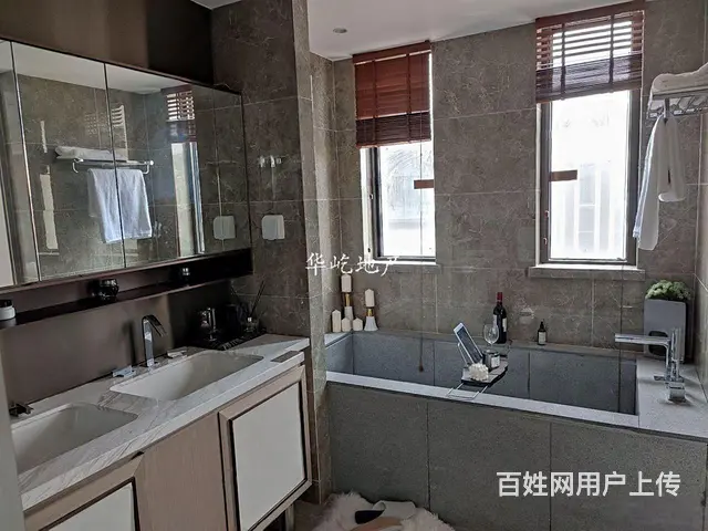 潘安新城城旁大型商业奥特莱斯旁的景区别墅，出门即轻轨 - 图片 3