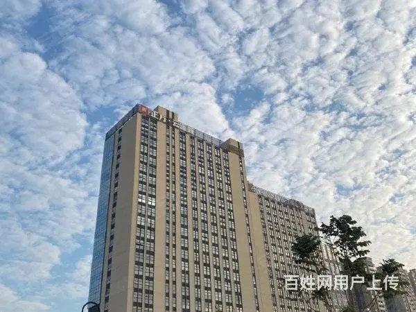 稀缺！云溪谷省级众创空间免水电物业54-184㎡独立办公 - 图片 8