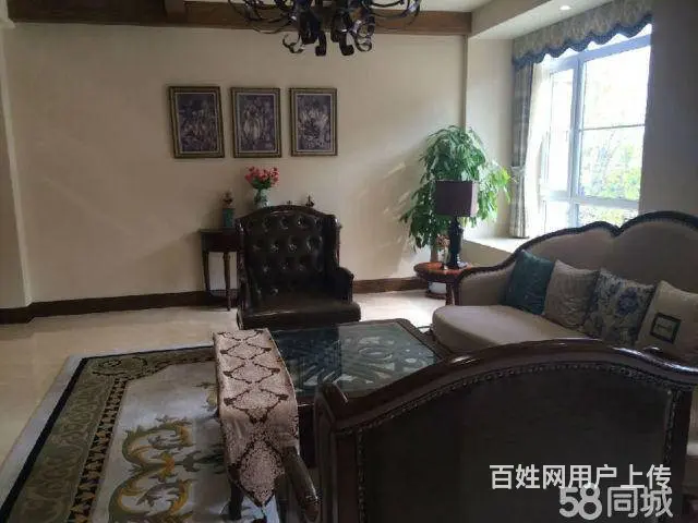 经典别墅交5万立减10万带车库储藏室大花园露台阳台 - 图片 12