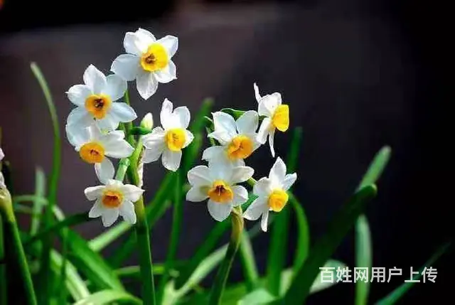 河南电力二级资质代办转让，郑州房建二电力二级转让 - 图片 3