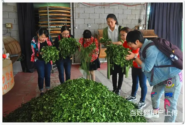10月11日天晟茶艺培训完全改变了你对茶艺的认知 - 图片 9