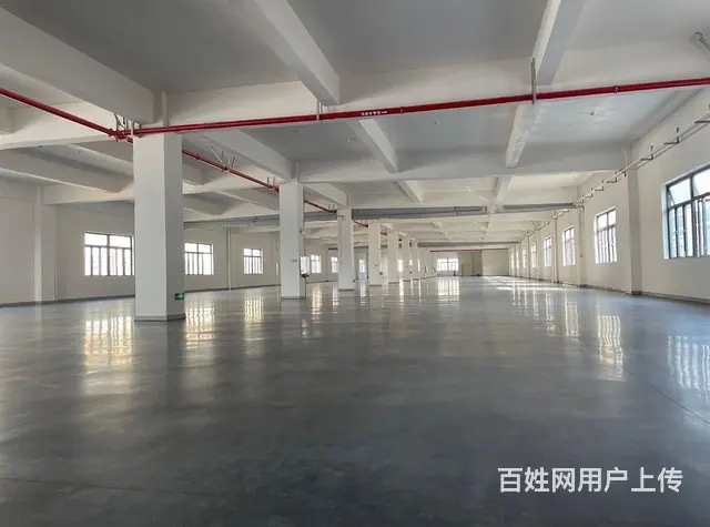 南屏2500~5500平高标准厂房业主直租，厂房形 - 图片 3