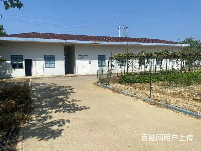 （房东直租）黄兴镇劳动东路1200平米厂房，仓库，办公出租 - 图片 10
