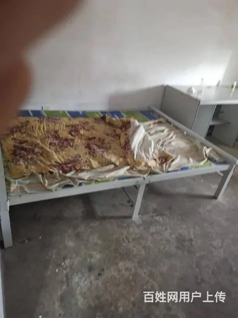 湘江社区 普通住宅1厅 简单装修 - 图片 3