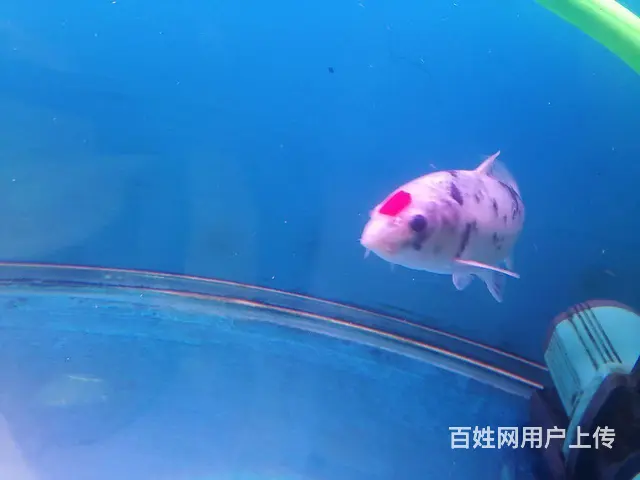 喜欢的联系 - 图片 2