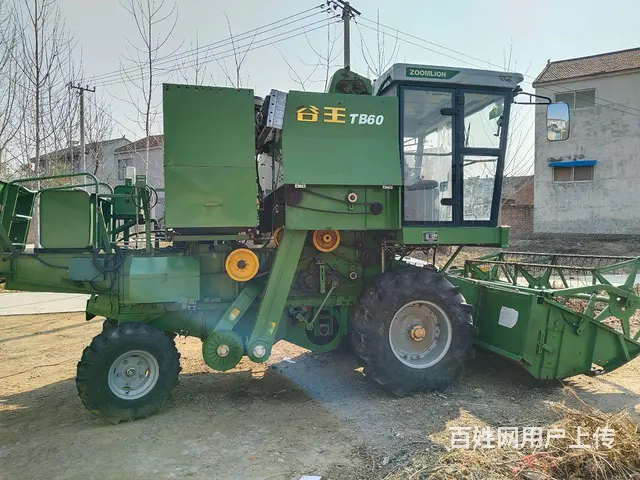 一代经典，精品谷王 - 图片 10