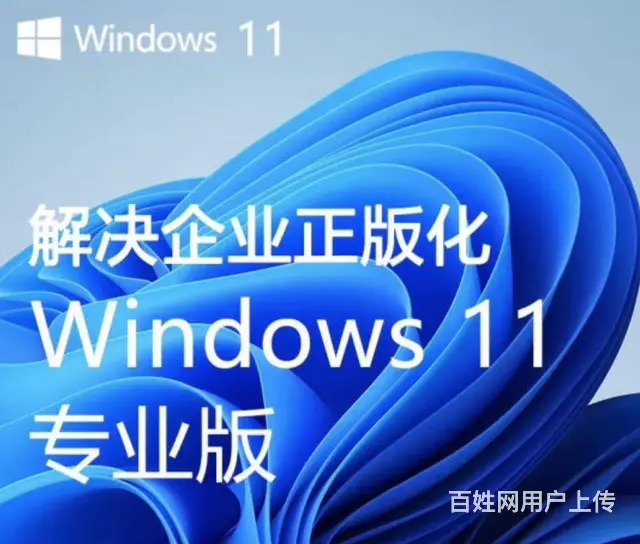 厦门哪里有微软Win系统的专柜 - 图片 1