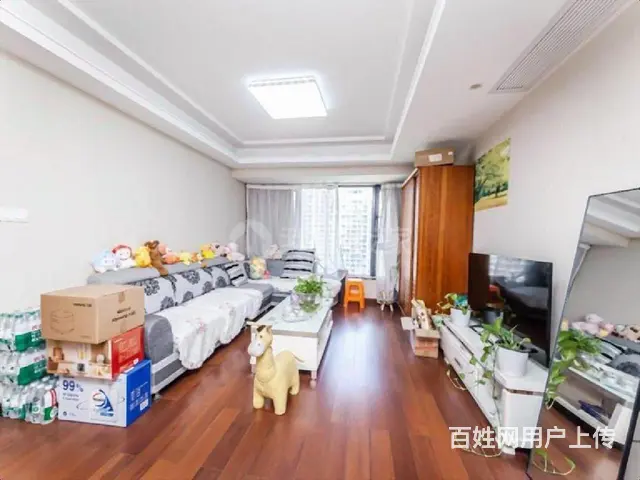 滨江区政府板块一线江景东边套！保养九成新！诚售 - 图片 2