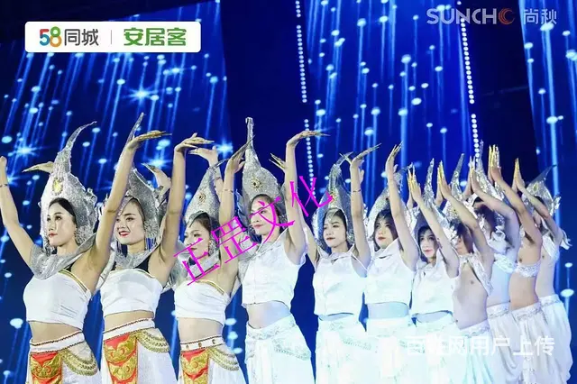 企业年会、车展、会议会展、音乐节、搭建执行、演出 - 图片 7