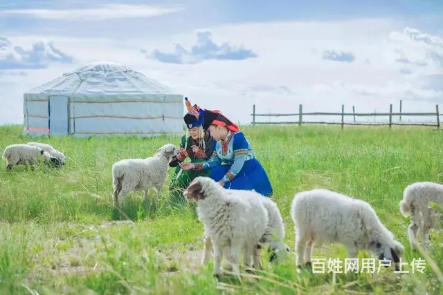 呼伦贝尔包车服务，呼伦贝尔包车价格 - 图片 2