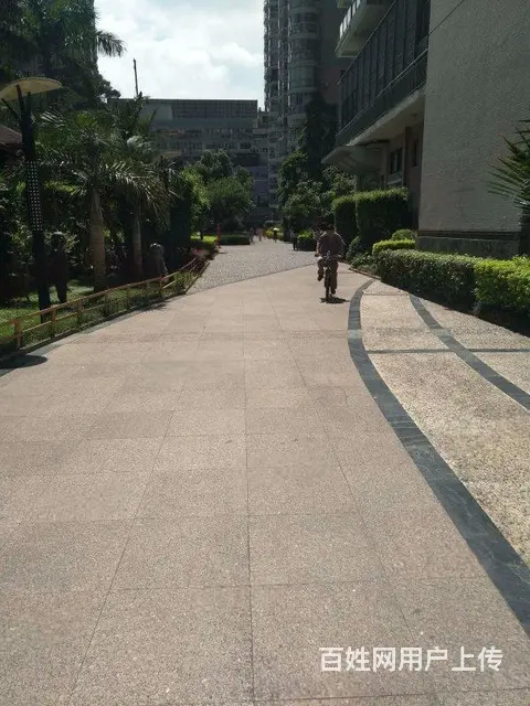 思北 华侨海景城 可短租 南北通透四房 采光户型好 - 图片 12