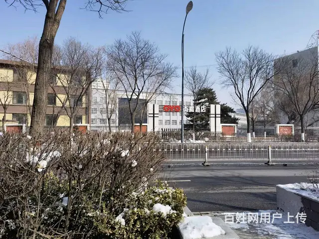7434（七P）个人城中南山路女子对面临街商铺招租 - 图片 5