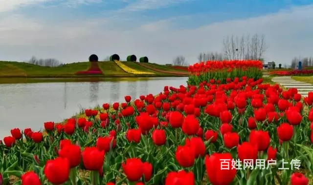 蓝月佳缘本周六带你一个神秘的地方 - 图片 7