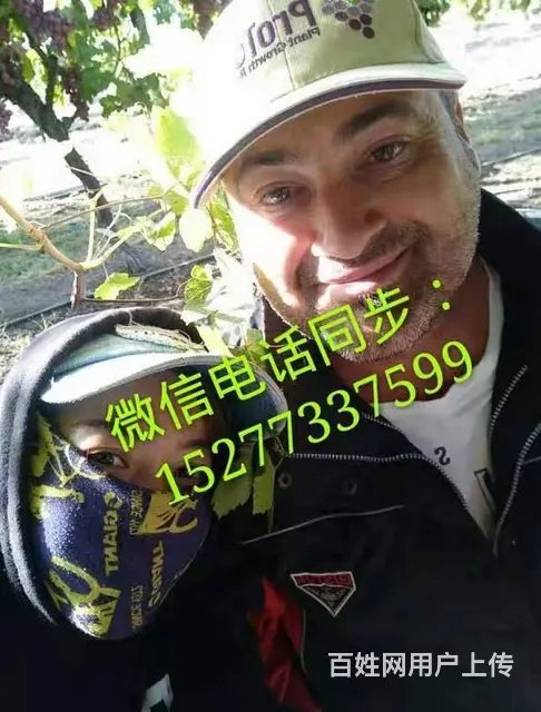 正规出国打工/急招空间大 - 图片 3