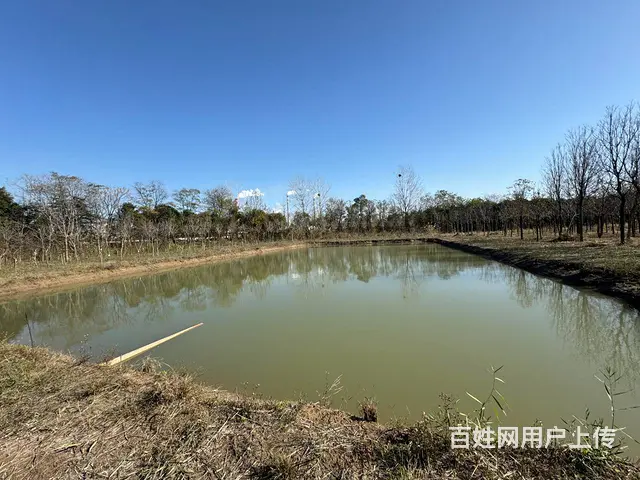 （徐州找店网）北区38亩鱼塘和土地出租 - 图片 3