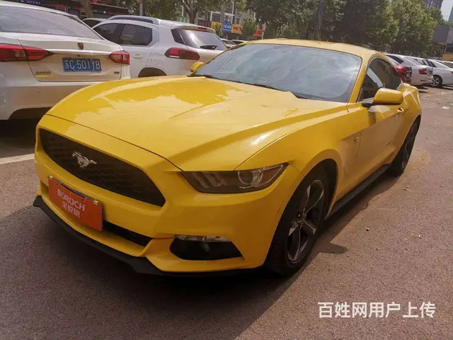 【搞定了！】福特Mustang [野马](进口) - 图片 3