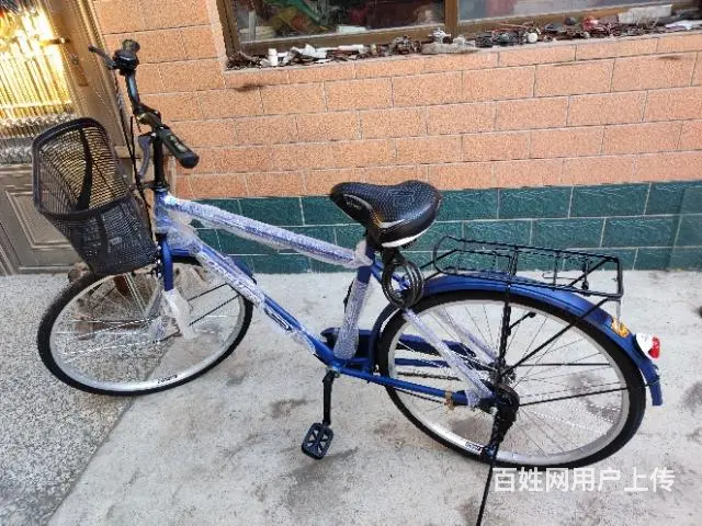 全新永久自行车 - 图片 4