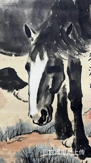 徐悲鸿回流马作品多题跋 画心127.5-65 - 图片 3