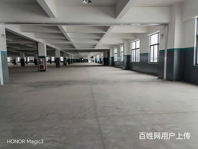 碧溪沿江开发区32000平方标准厂房出租，场地大，环境优美。 - 图片 11