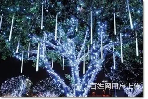 建筑亮化，园林景观亮化，城市路灯照明工程施工 - 图片 8
