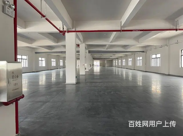 南屏2500~5500平高标准厂房业主直租，厂房形 - 图片 4