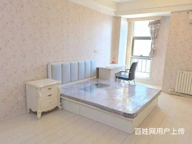 近中街大悦城，丰瑞威士顿公寓 ，1300元/月，精装修家电全 - 图片 1