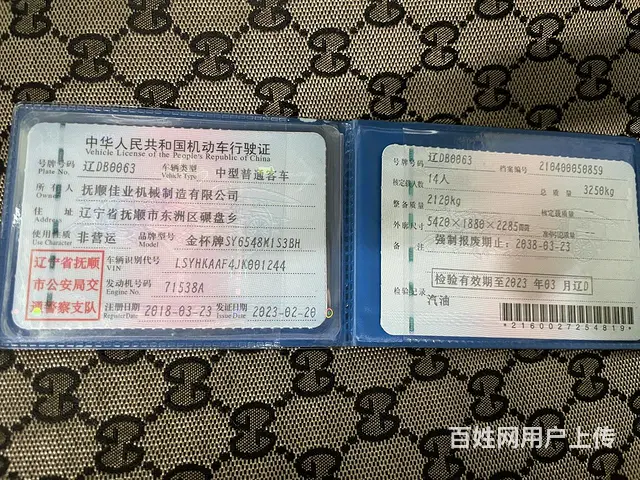14座金杯大海狮 - 图片 7