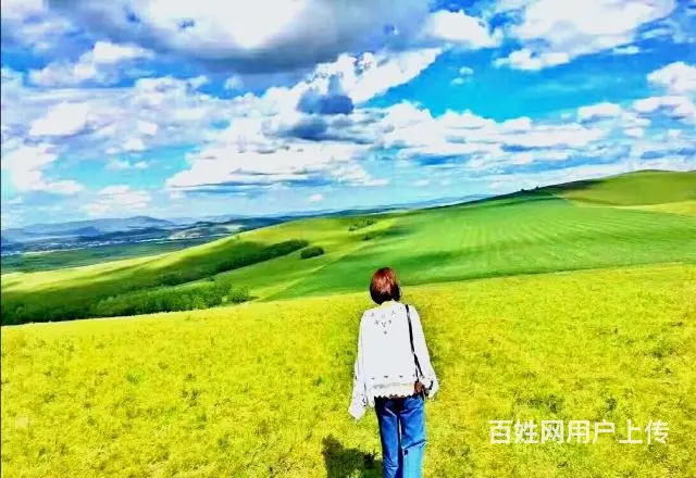 呼伦贝尔包车师傅排名租车拼车品质包车 - 图片 9