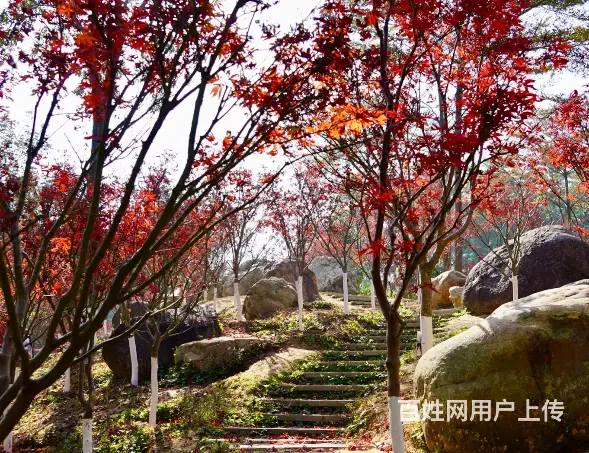 广州白云区徒步登山好去处 - 图片 2