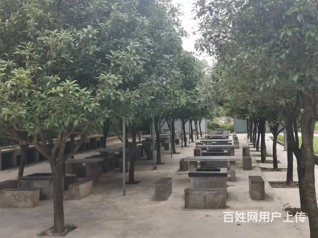 （老板房源）望城乌山森林公园旁农家乐拓展训练培训基地优价转让 - 图片 4