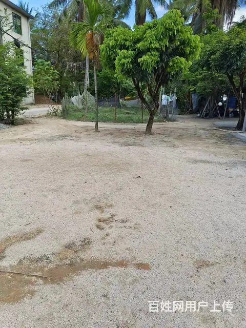 （51旺铺推荐）凤凰镇1000平2-3楼房子及场地出租 - 图片 6