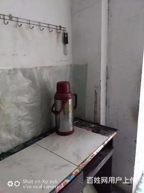 房屋出租 - 图片 2