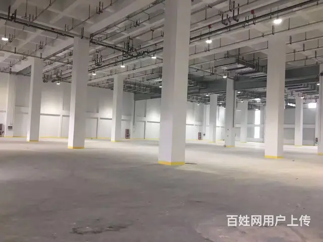 海宁3万平全单层原房东出租双边平台库场地大 - 图片 4