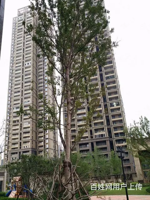 正堂山外山 3室1厅2卫 25平 南北通透 电梯房 - 图片 12