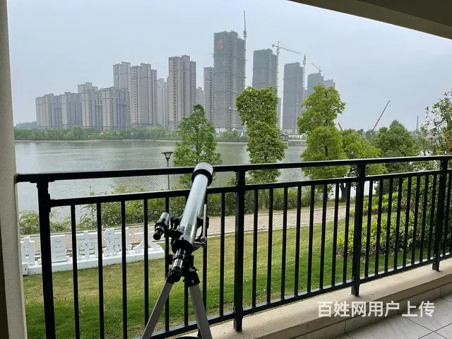 特价4开头湖景房送车位！高铁站对面碧桂园林语阁95平大阳台 - 图片 8
