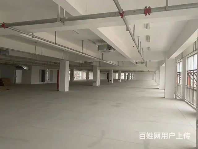 青网1000平方办公招租 - 图片 3