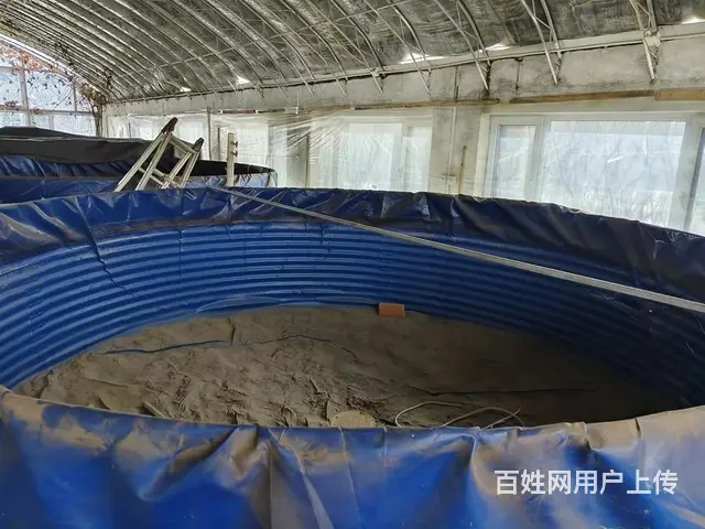 厂房养殖棚 - 图片 3