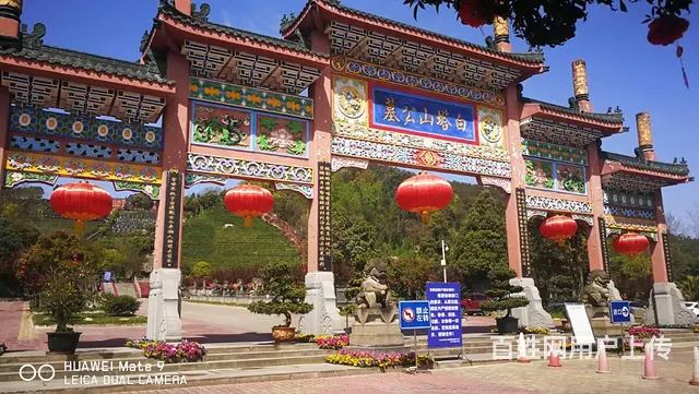 二手集装箱，海运集装箱出售，全部批发价出售 - 图片 4