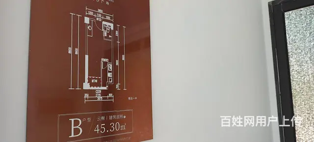保真苏滁鱼尾狮公园旁金沙广场 近地铁万达旁 买房送家电 - 图片 10